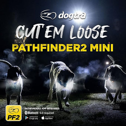 Dogtra Pathfinder 2 Mini GPS Dog Tracker e Collar 4 Mile Long Range LED Light No Monthly Fees Free App Waterproof Smartwatch Control Based Real Time Tracking Multiple Dogs Smartphone Required