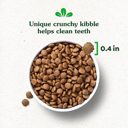 Greenies Smart Essentials Puppy High Protein Dry Dog Food Real Chicken & Brown Rice Recipe, 27 lb. Bag