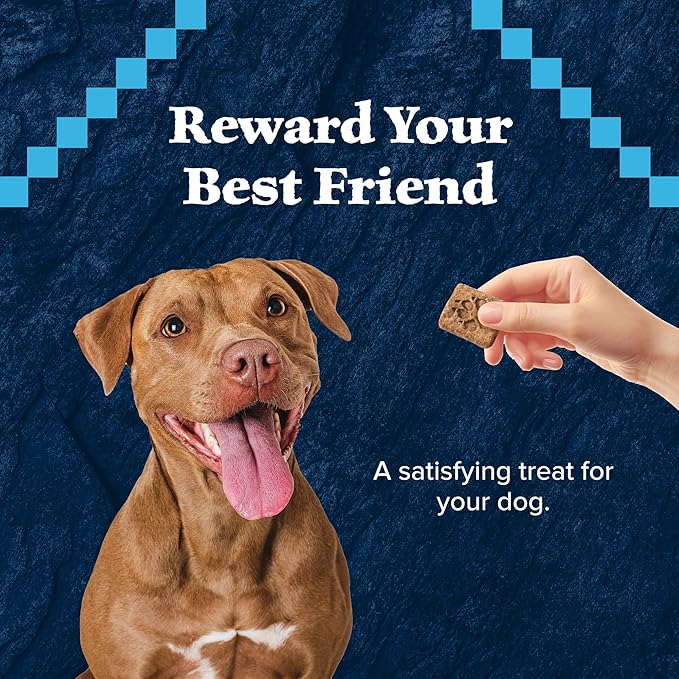 Blue Buffalo Wilderness Trail Treats High Protein Grain Free Dog Biscuits Crunchy Dog Treats, Duck Recipe, 10-oz Bag