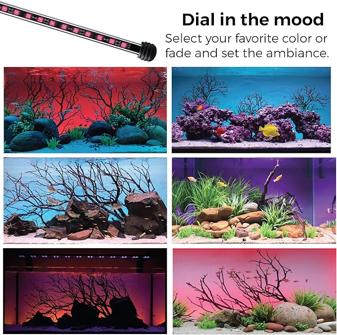 CURRENT USA 36" Serene Aquarium LED Background Light Kit | Fish Tank Lighting Backdrop Decoration Black 3D 29, 30, 40, 50, 55, 65 Gallon Tank (3152)