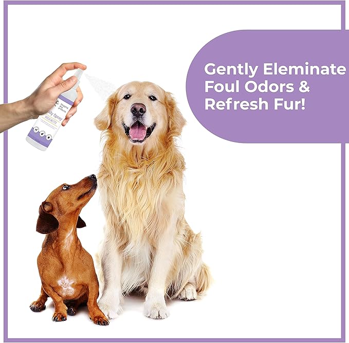 Dog Perfume Spray Long Lasting - Pet Odor Eliminator - Dog Cologne Spray - Premium Dog Deodorant Spray for Smelly Dogs - Refreshing Dog Deodorizer Spray for Grooming