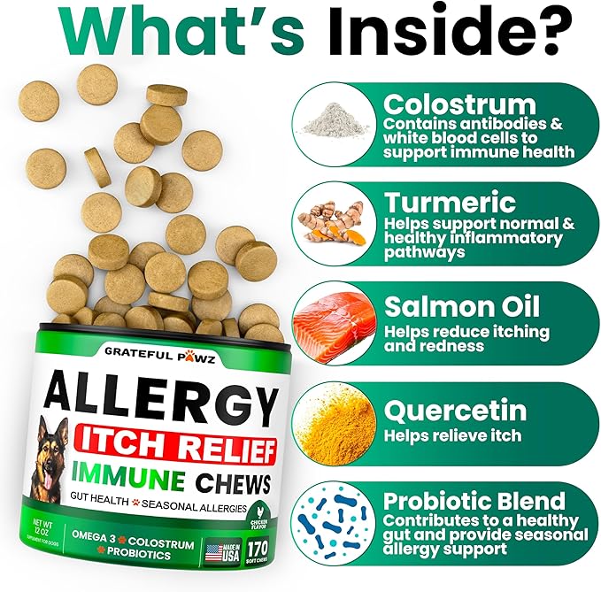 Dog Allergy Relief Chews - Dog Itching Skin Relief Treatment - 170 Chews - Anti-Itch, Hot Spots, Paw Licking - Immune Health - Omega 3 Fish Oil - Dry Itchy Skin and Coat Supplement - Made in USA