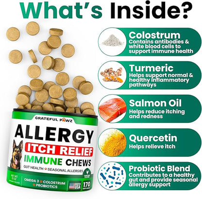 Dog Allergy Relief Chews - Dog Itching Skin Relief Treatment - 170 Chews - Anti-Itch, Hot Spots, Paw Licking - Immune Health - Omega 3 Fish Oil - Dry Itchy Skin and Coat Supplement - Made in USA