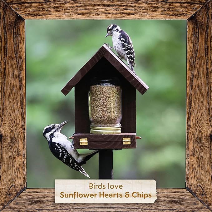 Morning Song Sunflower Hearts & Chips Wild Bird Seed  10 lb. Premium No Mess, Shell-Free Bird Food for Outside Feeders