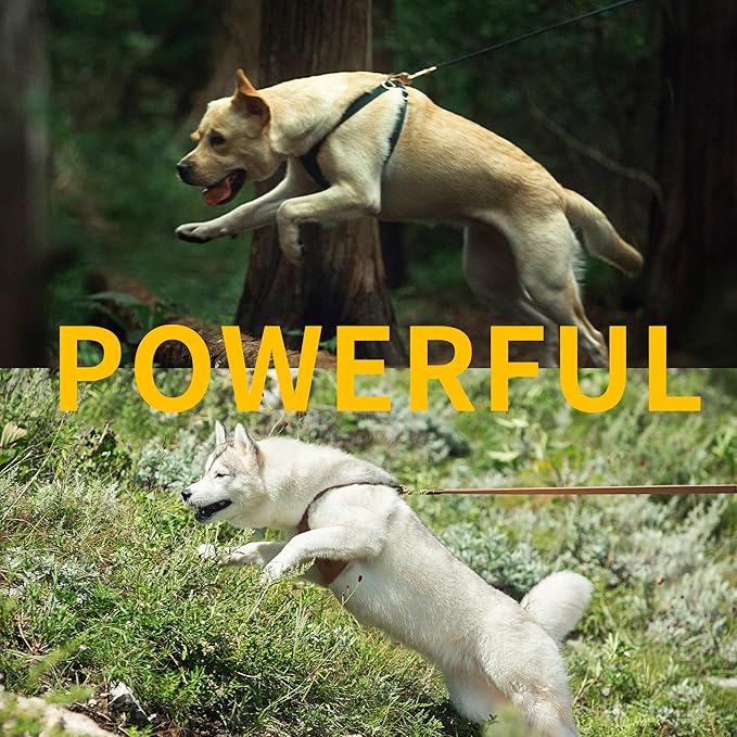 Dog Harness, No Pull Dogs Harness and Multi-Function Leash Set for Medium Dogs Easy Walk Everyday Adjustable Soft Dog Vest Harness Fashionable Dog Accessories Black-Button-L