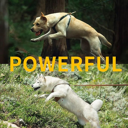 Dog Harness, No Pull Dogs Harness and Multi-Function Leash Set for Medium Dogs Easy Walk Everyday Adjustable Soft Dog Vest Harness Fashionable Dog Accessories Black-Button-L