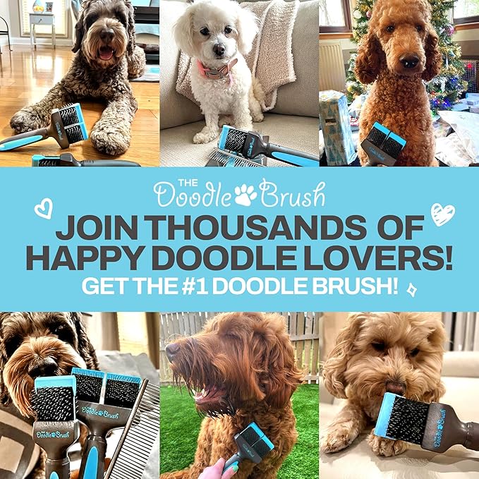 Doodle Brush Slicker Brush for Dogs - Dog Brush for Long Haired Dogs Goldendoodle, Bernedoodle Golden Doodle Brush Dog Brush for Poodles, Cockapoo, Dog Brush for Doodles, Poodle Brush - Extra Long Pin