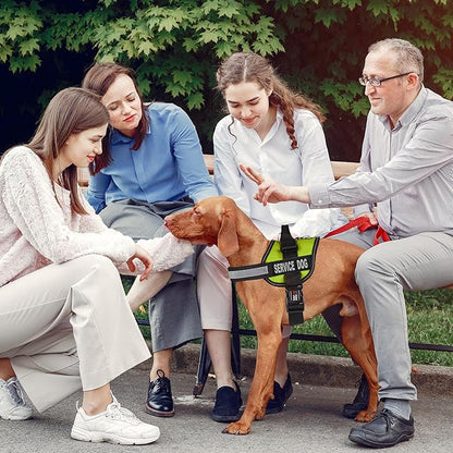 Dogline Unimax Service Dog Vest and Free Service Dog ID Badge with ADA Law, X-Large, Lime Green