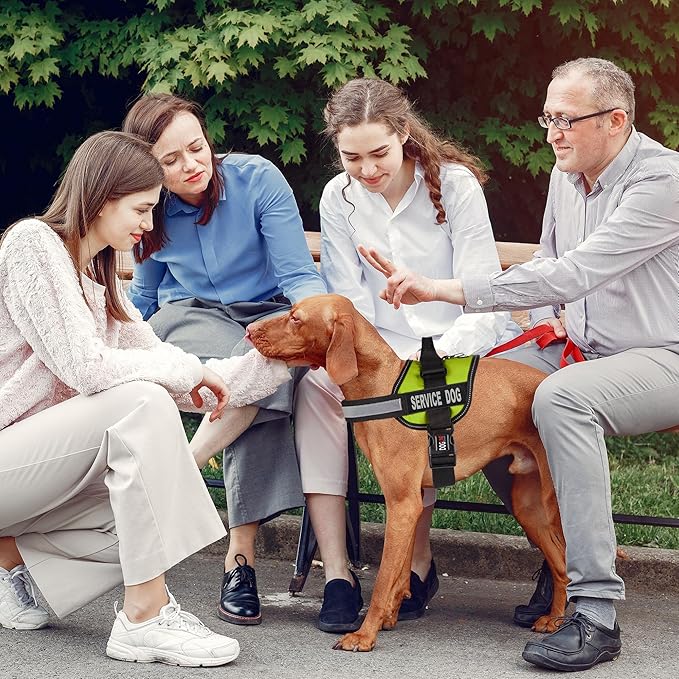Dogline Unimax Service Dog Vest and Free Service Dog ID Badge with ADA Law, Medium, Lime Green
