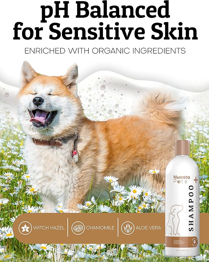 Pet Shampoo for Dogs & Cats (2 Pack) Unscented Fragrance Free Natural & Organic - pH Balanced for Dry & Sensitive Skin for Puppies & Kittens - Chamomile, Aloe & Oatmeal – Soap & Cruelty Free – 16 Oz