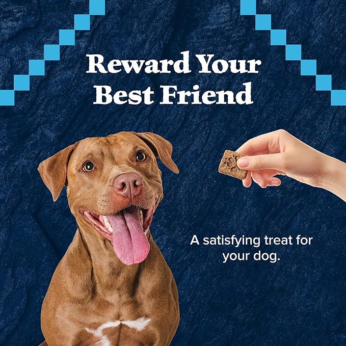 Blue Buffalo Wilderness Trail Treats High Protein Grain Free Crunchy Dog Treats Biscuits, Salmon Recipe 10-oz Bag