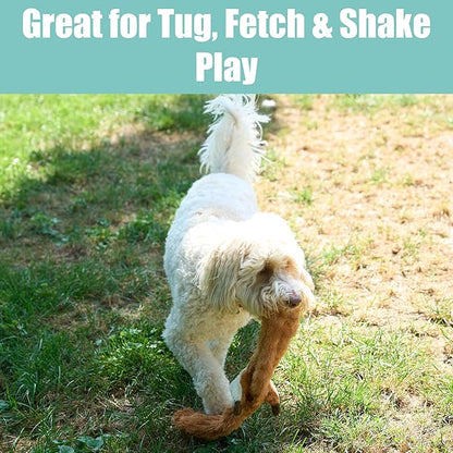 SPOT Skinneeez Squirrel 23-Inch Stuffing-Free Plush Dog Toy – Realistic Design with 2 Squeakers – Durable, Soft Polyester for Medium & Large Dogs – Tug, Fetch & Shake Play – for Moderate Chewers