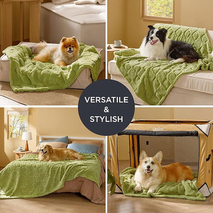 Bedsure Dog Blanket for Small Dogs Washable - Soft Fluffy Puppy Blanket with Premium 300GSM Coral Fleece, Cozy Calming Cat Blankets for Indoor Cats, Fuzzy Pet Blanket for Kitten Doggy, Green, 25x35IN