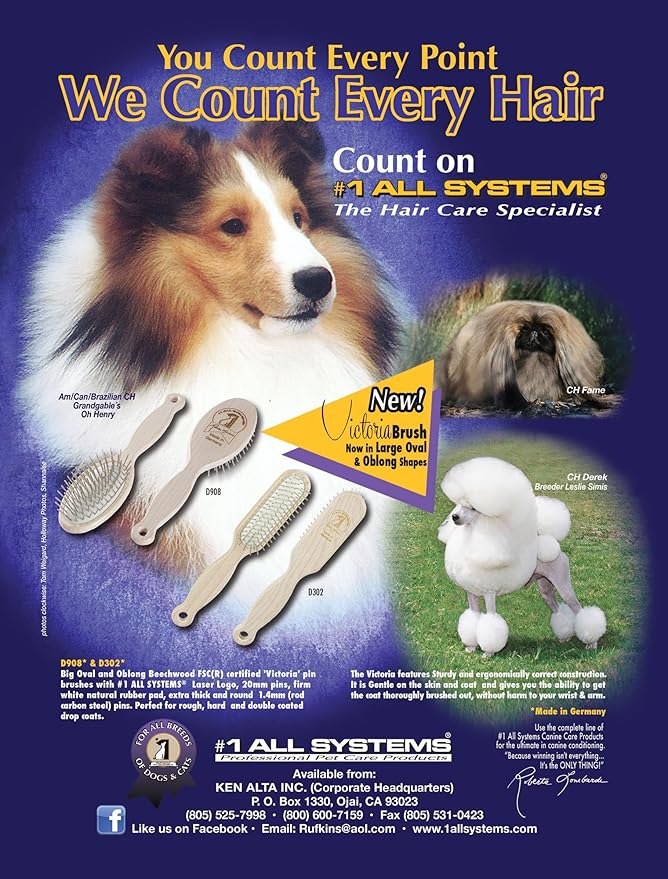 #1 All Systems D908 - Victoria Pin Brush