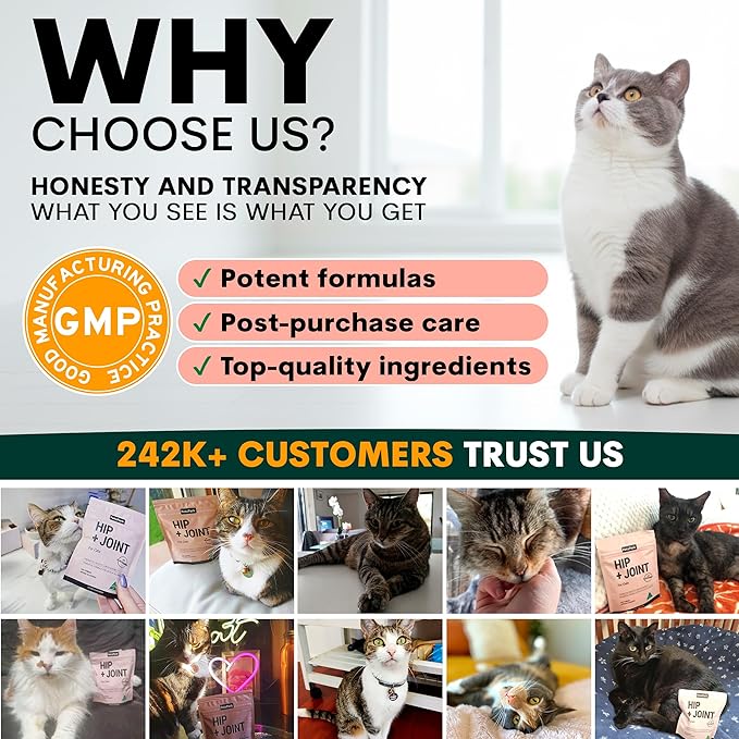 Hip and Joint Supplement for Cats - Glucosamine, Chondroitin, MSM for Joint Hip Care, Arthritis Pain Relief, Mobility Support, Cartilage Health, Inflammation Reduction - Senior Cat Support, 60 Scoops