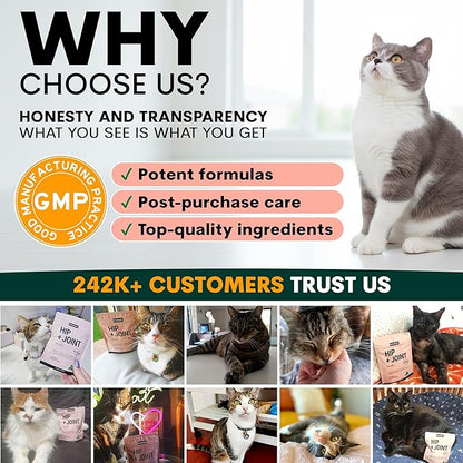Hip and Joint Supplement for Cats - Glucosamine, Chondroitin, MSM for Joint Hip Care, Arthritis Pain Relief, Mobility Support, Cartilage Health, Inflammation Reduction - Senior Cat Support, 60 Scoops
