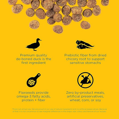 Go! Solutions Sensitivities Limited Ingredient, Grain-Free Dry Cat Food, Duck Recipe for Sensitive Stomach, 8 lb Bag