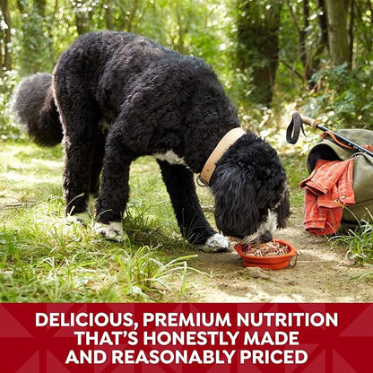 Nature's Recipe Grain Free Chicken & Beef Recipe in Savory Broth Wet Dog Food, 2.75 oz. Cup, 12 Count