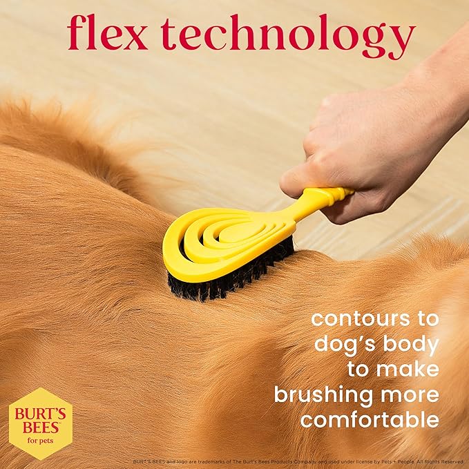Burt's Bees for Pets Bristle Brush with Natural Boars Hair & Nylon with Handle Made from Recycled Plastics Collected from Coastal Communities | De-Shedding Dog Brush | Eco Friendly Dog Grooming Brush