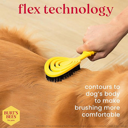 Burt's Bees for Pets Bristle Brush with Natural Boars Hair & Nylon with Handle Made from Recycled Plastics Collected from Coastal Communities | De-Shedding Dog Brush | Eco Friendly Dog Grooming Brush