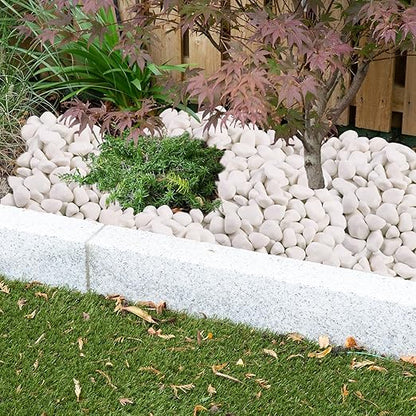 10Ib Snow White River Rock- Decorative Pebbles for Plants - River Rocks for Outdoor Landscaping- 0.3"-0.8" inch Polished Stones for Stones for Aquarium, Home Decor,Garden Decor
