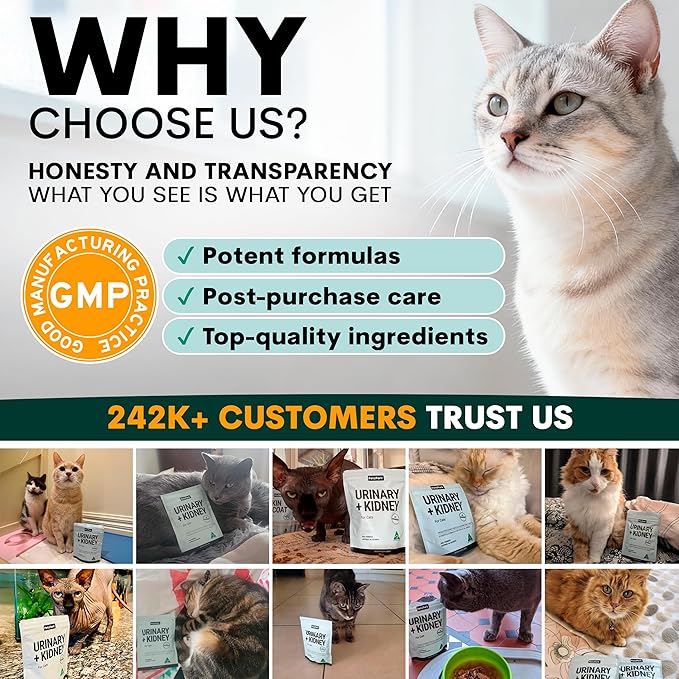 Urinary and Kidney Powder Supplement for Cats - Cranberry, Nettle Seed, D-Mannose for Cat UTI Treatment, Urinary Tract Health, and Kidney Care - Fast UTI Relief & Prevention - 60 Scoops