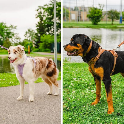Dog Harness and Leash Set | BearBone No Pull Dog Harness and Waterproof Dog Collar and Leash Set | Heavy Duty Dog Harness, Leash and Collar | Medium Dog Harness, Leash and Collar (Brown, Medium)