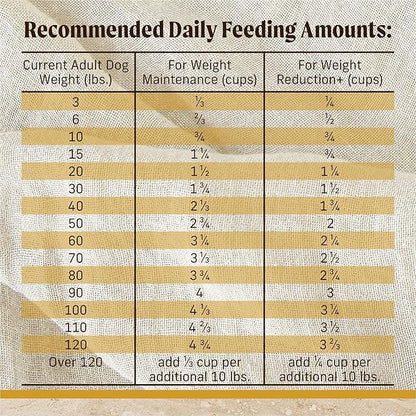 Merrick Healthy Grains Premium Adult Dry Dog Food, Wholesome and Natural Kibble with Chicken and Brown Rice - 33.0 lb. Bag