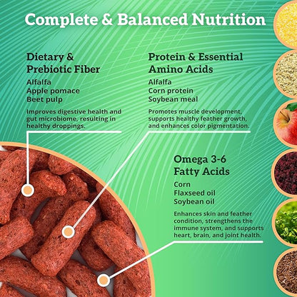 Scenic Apple Jungle Premium Parrot Food - Apple, Natural Flavors, High Protein, Low Iron Bird Pellets for Large Parrots, Macaw Food, Cockatoo & African Grey Parrots, Omega 3, Vitamins, Minerals, 1 LB