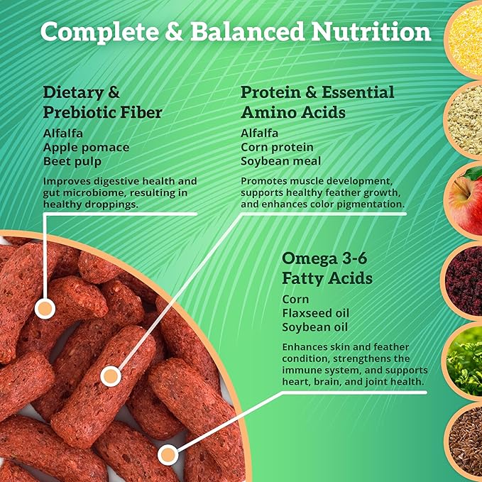 Scenic Apple Jungle Premium Parrot Food, Apple, Natural Flavors, High Protein, Low Iron Bird Pellets for Large Parrots, Macaw Food, Cockatoo, African Grey Parrots, Omega 3, Vitamins, 2lb (Pack of 2)