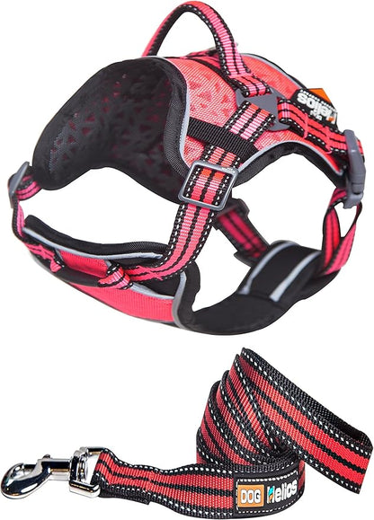 DOGHELIOS 'Journey Wander' Chest Compressive Sporty Adjustable Travel Pet Dog Harness and Leash Combination, Small, Pink