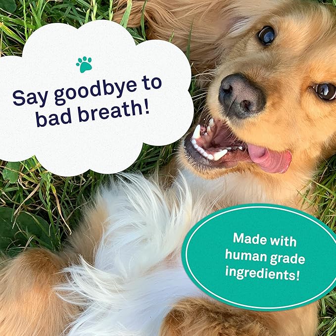 Petpost | Dental Wipes for Dogs - Bad Breath and Tooth Buildup Remover - Presoaked Pads in Natural Tooth Cleaning Solution 100 ct.