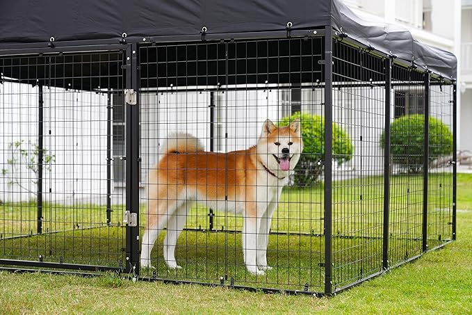 10x10x6 FT Outdoor Dog Kennel Steel Ideal Dog Fence for Medium/Small Dogs Anti-Rust Coating Cage with Roof All Weather Resistant Dog House with Double Locks (118" W x 118" D x 72.5" H)
