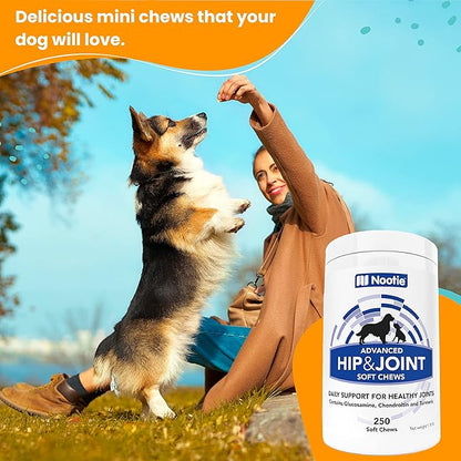 Nootie Glucosamine for Dogs - 250 ct - Hip and Joint Soft Chews Supplement for Dogs - Daily Dog MSM Chondroitin Chews with Turmeric - Joint Care Vitamins for All Breeds and Sizes USA