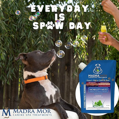 Worldwide Nutrition Bundle: Madra Mor Mobility Mud - Dog Essentials Mud Bath, Dog Grooming, Dry Skin for Dogs Treatment, Dog Coat Skin Care Products - 10oz Pouch & Multi-Purpose Key Chain