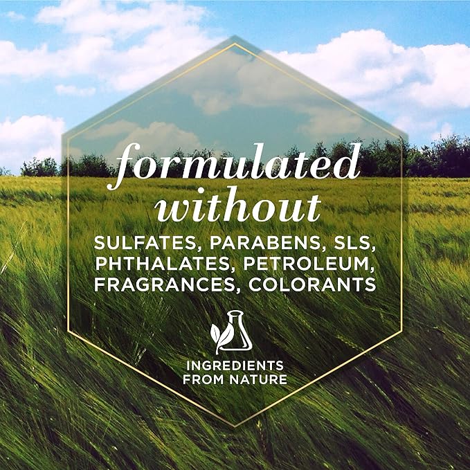 Burt's Bees for Pets Hypoallergenic Shampoo for Dogs with Shea Butter and Honey, 2pk, 95% Natural Origin Formulas, Shampoo for Sensitive Dogs - Gentle Dog Shampoo, 2pk, 16 oz