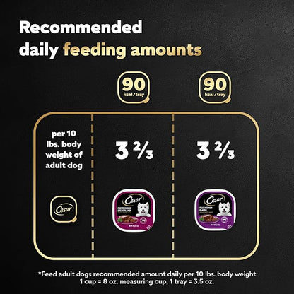 Cesar Wet Dog Food Classic Loaf in Sauce Filet Mignon and Porterhouse Steak Flavors Variety Pack, 3.5 oz. Easy Peel Trays (12 Count, Pack of 2)