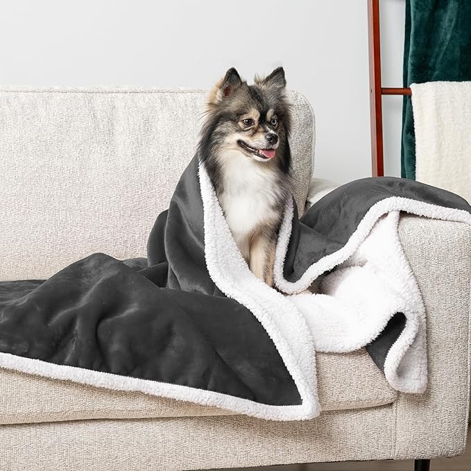 PetAmi Waterproof Dog Blanket For Small Medium Dog, Pet Puppy Blanket Couch Cover Protection, Sherpa Fleece Cat Blanket Washable Throw Couch Sofa Bed Furniture Protector Reversible Soft 29x40 Charcoal