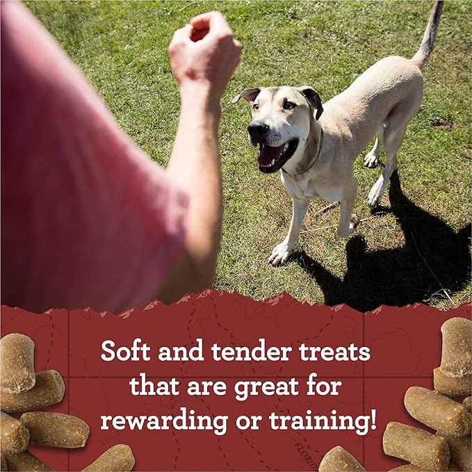 Zuke_ Lil Links Dog Treats for Dogs of All Sizes, Snacking Sausage Treats for Dogs, Pet Treats made with Real Pork & Apple, 6 oz. Resealable Pouch - 6 oz. Bag