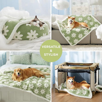 Lesure Waterproof Puppy Blanket for Small Dogs - Washable Double Sided Dog Blankets with Warm Jacquard Shag and Soft Sherpa Fleece, Pet Cat Blanket for Couch Protection, 3D Textured Cloud, Green