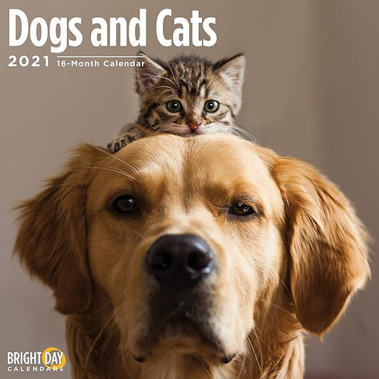 2-Speed USB Rechargeable Electric Cat Dog Pet Nail Trimmer 03