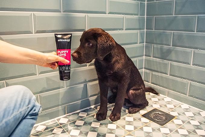 Dog Shampoo Puppy Love Gentle Skin 250ml