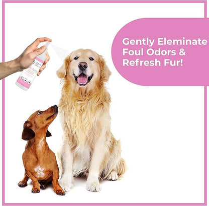 Dog Perfume Spray Long Lasting - Pet Odor Eliminator - Dog Cologne Spray - Premium Dog Deodorant Spray for Smelly Dogs - Refreshing Dog Deodorizer Spray for Grooming