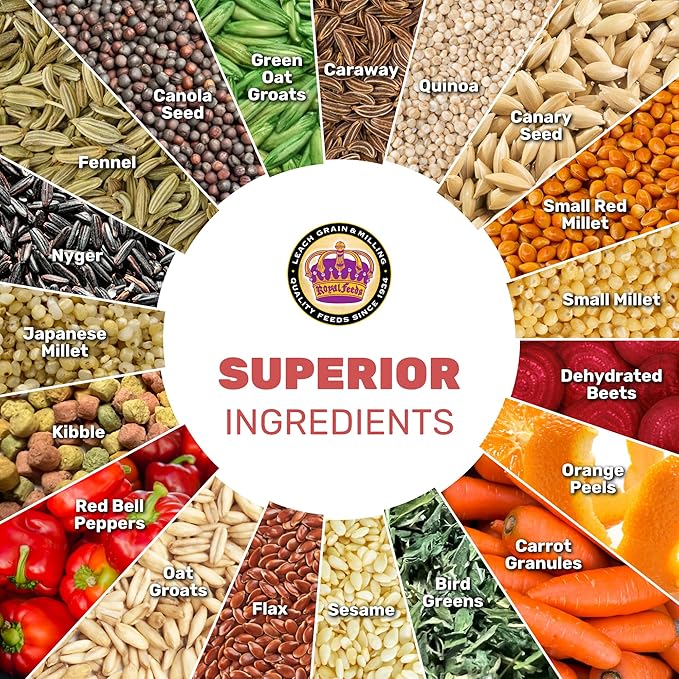 Finch Cuisine 4 Lbs, Finch Food, Nutrient-Rich Blend Bird Seed, Birdseed for Finches and Small Birds, Support Daily Energy, Growth & Healthy Balanced Diet, No Mess Bird Seed