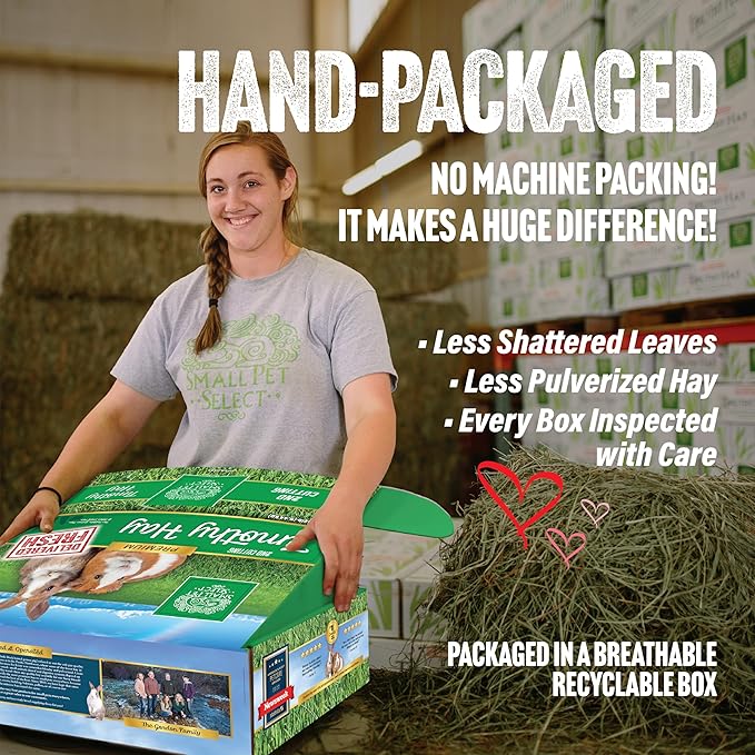 Small Pet Select 2nd Cutting Perfect Blend Timothy Hay, Food for Guinea Pig, Rabbit, Hamster, Bunny, Chinchilla, or Other Small Animals, Natural Hay Grown in The USA, 40lb