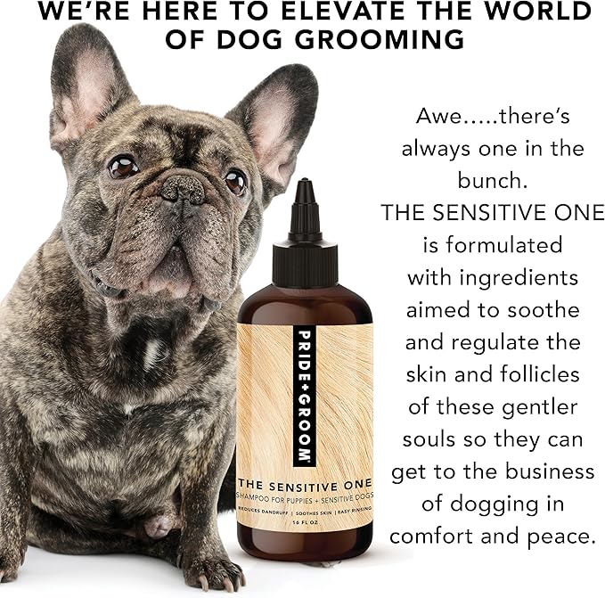 Pride and Groom The Sensitive One Dog Shampoo  All Natural Blend of Essential Oils & Gentle Ingredients for Puppies & Dogs with Sensitive Skin & Coats to Soothe and Regulate Skin & Follicles  16oz