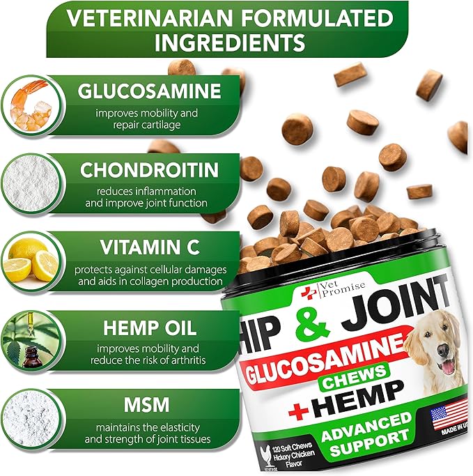 Vet Promise Hemp Hip and Joint Support Supplement for Dogs - Glucosamine for Dogs - Hemp Oil, MSM, Chondroitin - Support for Joint Pain Relief and Health - 120 Soft Chews - Made in USA