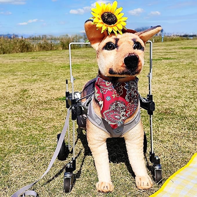 Dog Wheelchair,Lightweight Aluminum Frame with Handle,Extended Leg Straps,Includes Leash,Fits Pugs,French Bulldogs,and Schnauzersï¼_iddle Sizeï¼/Beagle,Corgi,and Cocker Spanielï¼_arge Sizeï¼