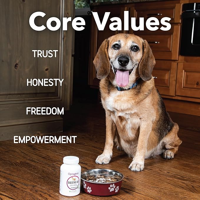 InClover Optagest Natural Digestive Aid, Organic Prebiotics & Enzymes Supplement Powder for Dogs and Cats - Promotes Healthy Stools, Less Gas, Optimal Nutrient Absorption, Intestinal Balance, 7 sticks