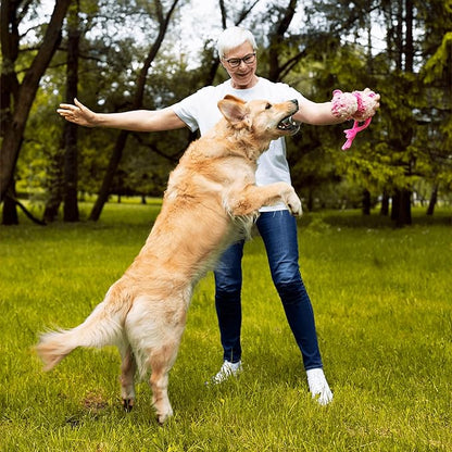 Pawlabs G-Max Joint Support for Dogs - Maximum Strength Hip & Joint Supplement with Glucosamine, Chondroitin, MSM etc - Relieves Arthritis Pain & Hip Dysplasia - Bacon Flavor, 60 Chews